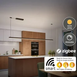Paulmann Driver Konstant Spænding > strømforsyning Power Box Linion sort ZigBee 230/24V
