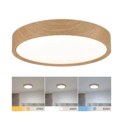 Paulmann Loftlamper > Tega LED-loftlampe IP44 CCT træ