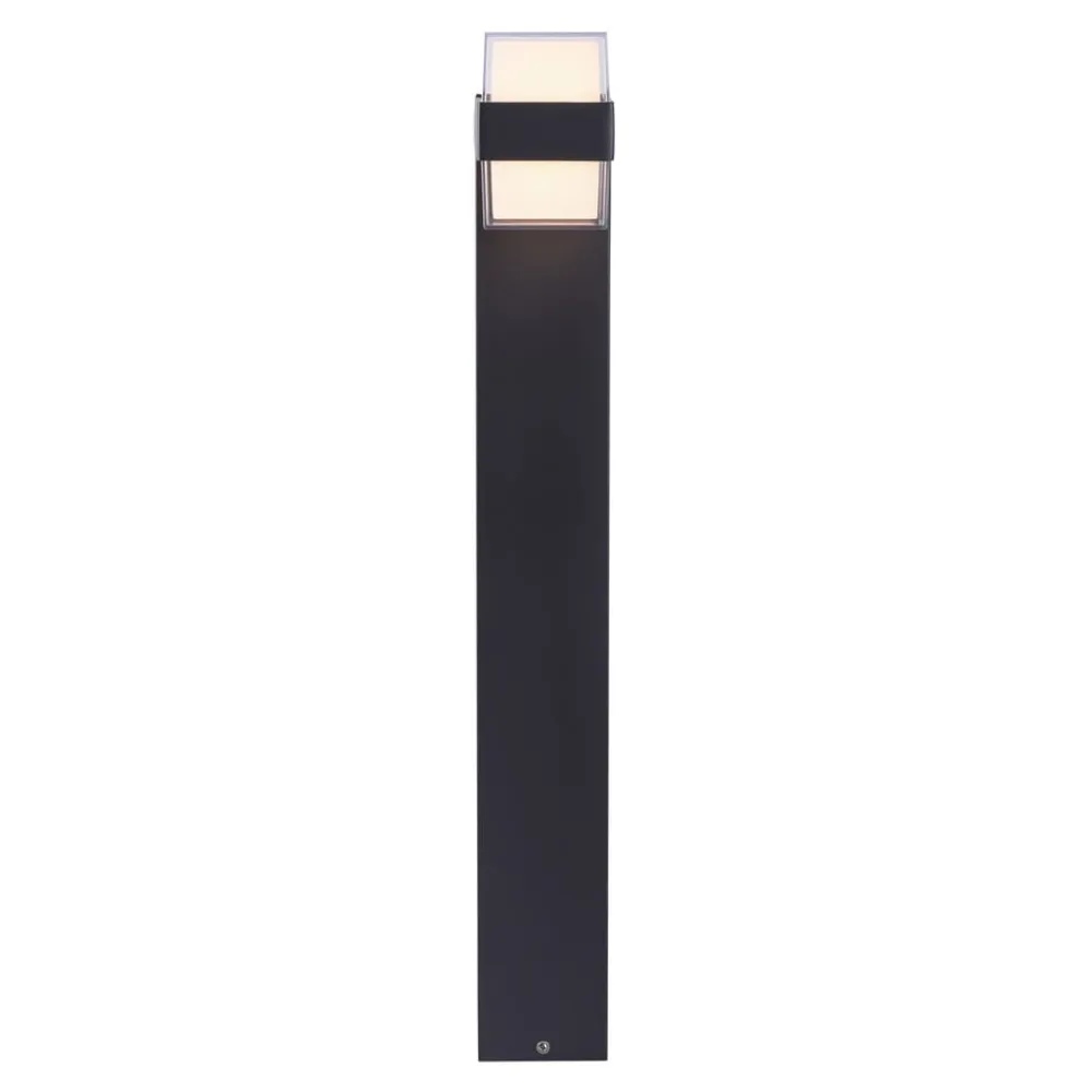 Paul Neuhaus Gadebelysning > Cara LED-gadelampe, up/down