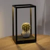 Paul Neuhaus Bordlamper > Contura LED-bordlampe i sort