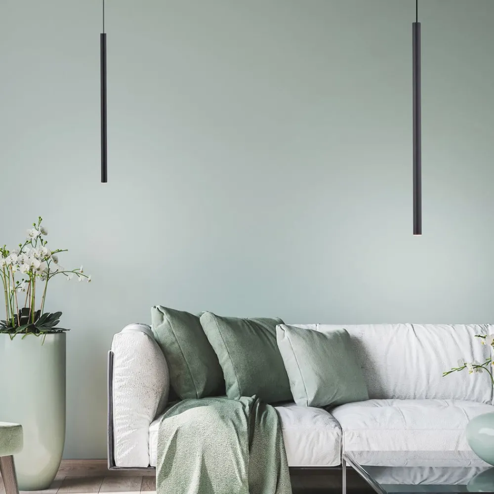 Pendellamper ^ Paul Neuhaus Flute LED-hængelampe 1 lyskilde sort