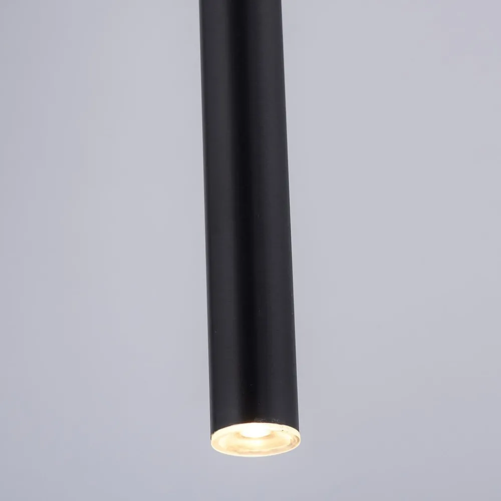 Pendellamper ^ Paul Neuhaus Flute LED-hængelampe 1 lyskilde sort