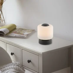 Paul Neuhaus Bordlamper > LED-bordlampe Bota, antracit, glas, dæmpbar