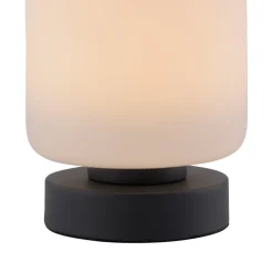 Paul Neuhaus Bordlamper > LED-bordlampe Bota, antracit, glas, dæmpbar