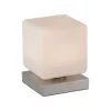 Paul Neuhaus Bordlamper > LED-bordlampe Dadoa, stål, glas, dæmpbar