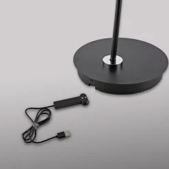 Paul Neuhaus Arbejdsrum/Kontor|Gulvlamper > LED-gulvlampe Akku-Bente, sort, CCT, USB-C