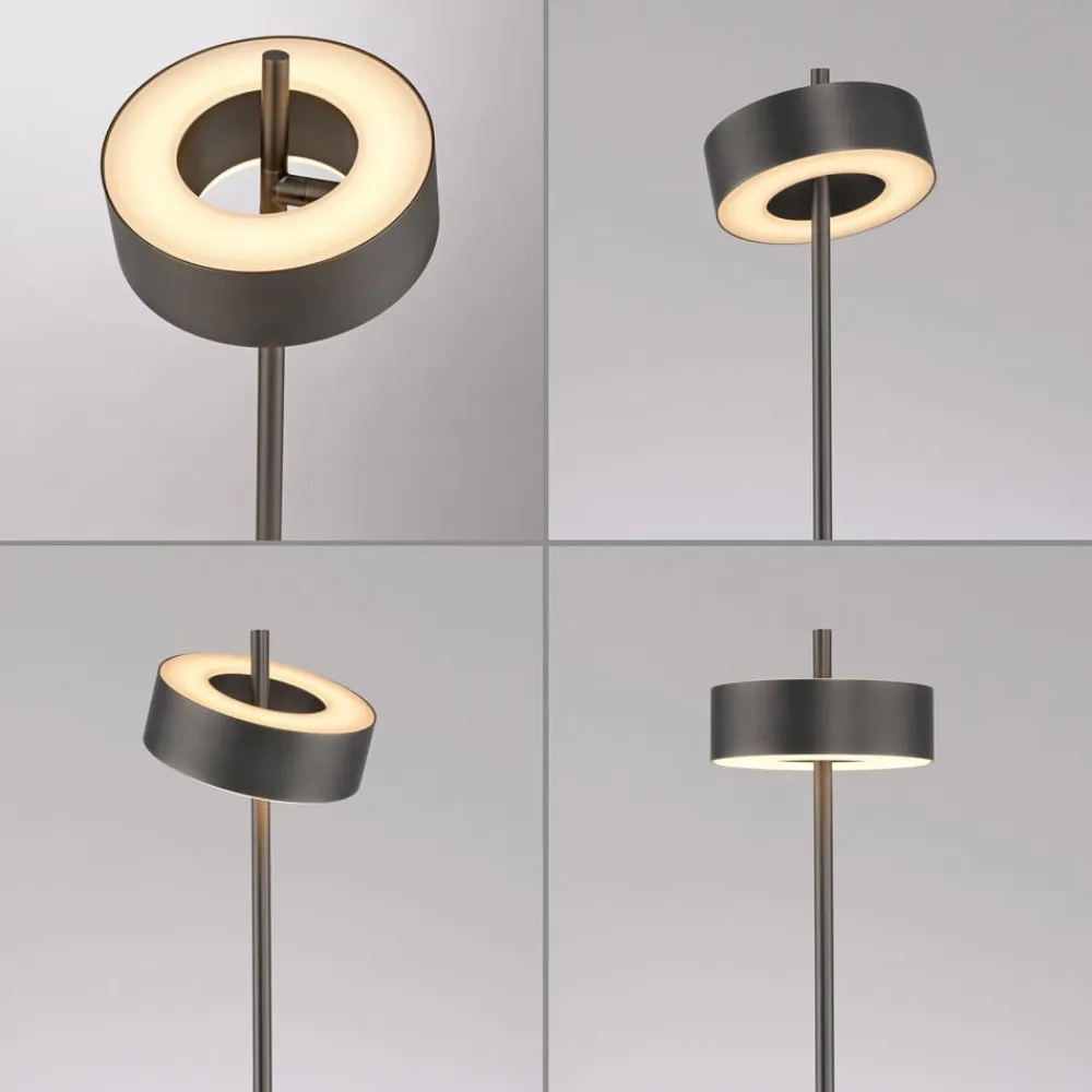 Gulvlamper|Gulvlamper ^ Q-Smart-Home Paul Neuhaus LED-gulvlampe Q-Rotate mørkebrun 140 cm