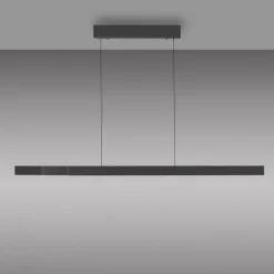 Pendellamper|Pendellamper ^ Paul Neuhaus LED-hængelampe Adriana Square, grå, op/ned