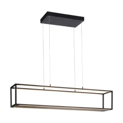 Paul Neuhaus Pendellamper > LED-hængelampe Contura, sort, 105 cm
