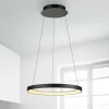 Paul Neuhaus Pendellamper|Pendellamper > LED-hængelampe Hoop, sort, Ø 57 cm, dæmpbar