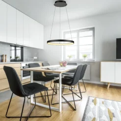 Paul Neuhaus Pendellamper|Pendellamper > LED-hængelampe Hoop, sort, Ø 57 cm, dæmpbar