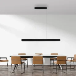 Paul Neuhaus Arbejdsrum/Kontor|Pendellamper > LED-hængelampe Q-Stretto, sort, 120 cm