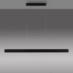 Paul Neuhaus Arbejdsrum/Kontor|Pendellamper > LED-hængelampe Q-Stretto, sort, 120 cm