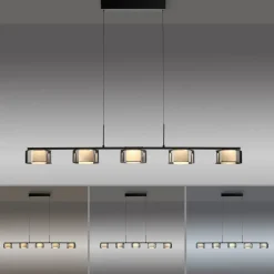 Paul Neuhaus Pendellamper|Pendellamper > LED-hængelampe Rika, 119 cm, glas, dæmpbar