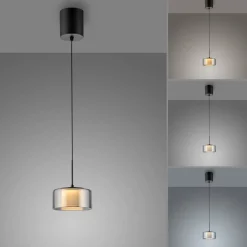Paul Neuhaus Pendellamper|Pendellamper > LED-hængelampe Rika, Ø 15 cm, glas, dæmpbar