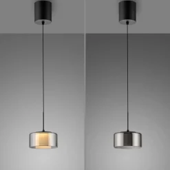 Paul Neuhaus Pendellamper|Pendellamper > LED-hængelampe Rika, Ø 15 cm, glas, dæmpbar