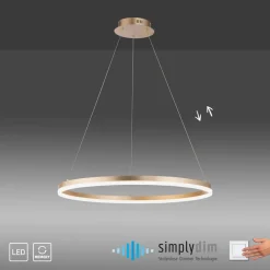 Pendellamper ^ Paul Neuhaus LED-hængelampe Titus, Ø 80 cm, messing, dæmpbar