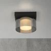 Paul Neuhaus Loftlamper > LED-loftlampe Rika, Ø 15 cm, glas, dæmpbar