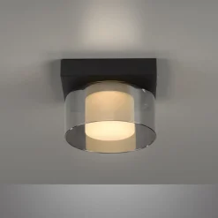 Paul Neuhaus Loftlamper > LED-loftlampe Rika, Ø 15 cm, glas, dæmpbar