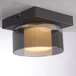 Paul Neuhaus Loftlamper > LED-loftlampe Rika, Ø 15 cm, glas, dæmpbar