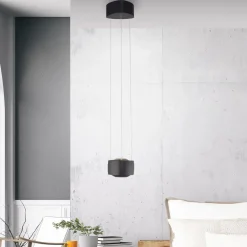Paul Neuhaus Arbejdsrum/Kontor|Pendellamper > LED-pendellampe Q-Stretto, sort, Ø 14,5 cm