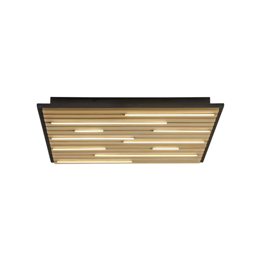 Q-Smart-Home Loftlamper|Loftlamper > Paul Neuhaus Loftlampe Q-Acoustic træ 62 x 62 cm