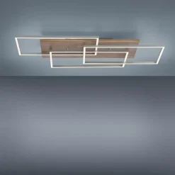 Paul Neuhaus Loftlamper|Loftlamper > Palma LED-loftlampe CCT ramme