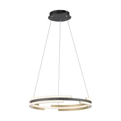 Q-Smart-Home Pendellamper > Paul Neuhaus Q-Beluga LED-hængelampe, messing