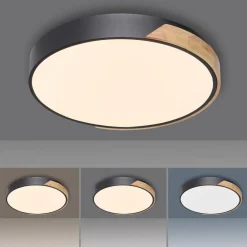 Q-Smart-Home Loftlamper|Loftlamper > Paul Neuhaus Q-BILA LED-loftlampe, sort/eg