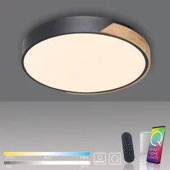 Q-Smart-Home Loftlamper|Loftlamper > Paul Neuhaus Q-BILA LED-loftlampe, sort/eg