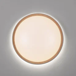 Loftlamper|Loftlamper ^ Q-Smart-Home Paul Neuhaus Q-EMILIA LED-loftslampe, grå/træ