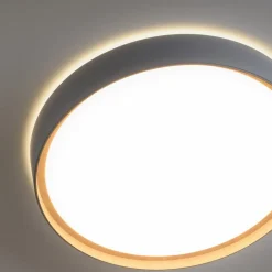 Loftlamper|Loftlamper ^ Q-Smart-Home Paul Neuhaus Q-EMILIA LED-loftslampe, grå/træ