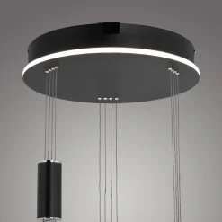 Pendellamper ^ Q-Smart-Home Paul Neuhaus Q-ETIENNE hængelampe rondel, sort