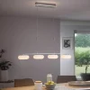 Q-Smart-Home Pendellamper > Paul Neuhaus Q-ETIENNE LED-hængelampe, 4 lyskilder