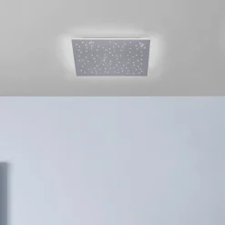 Q-Smart-Home Loftlamper > Paul Neuhaus Q-NIGHTSKY LED-loftlampe, 60 x 60 cm