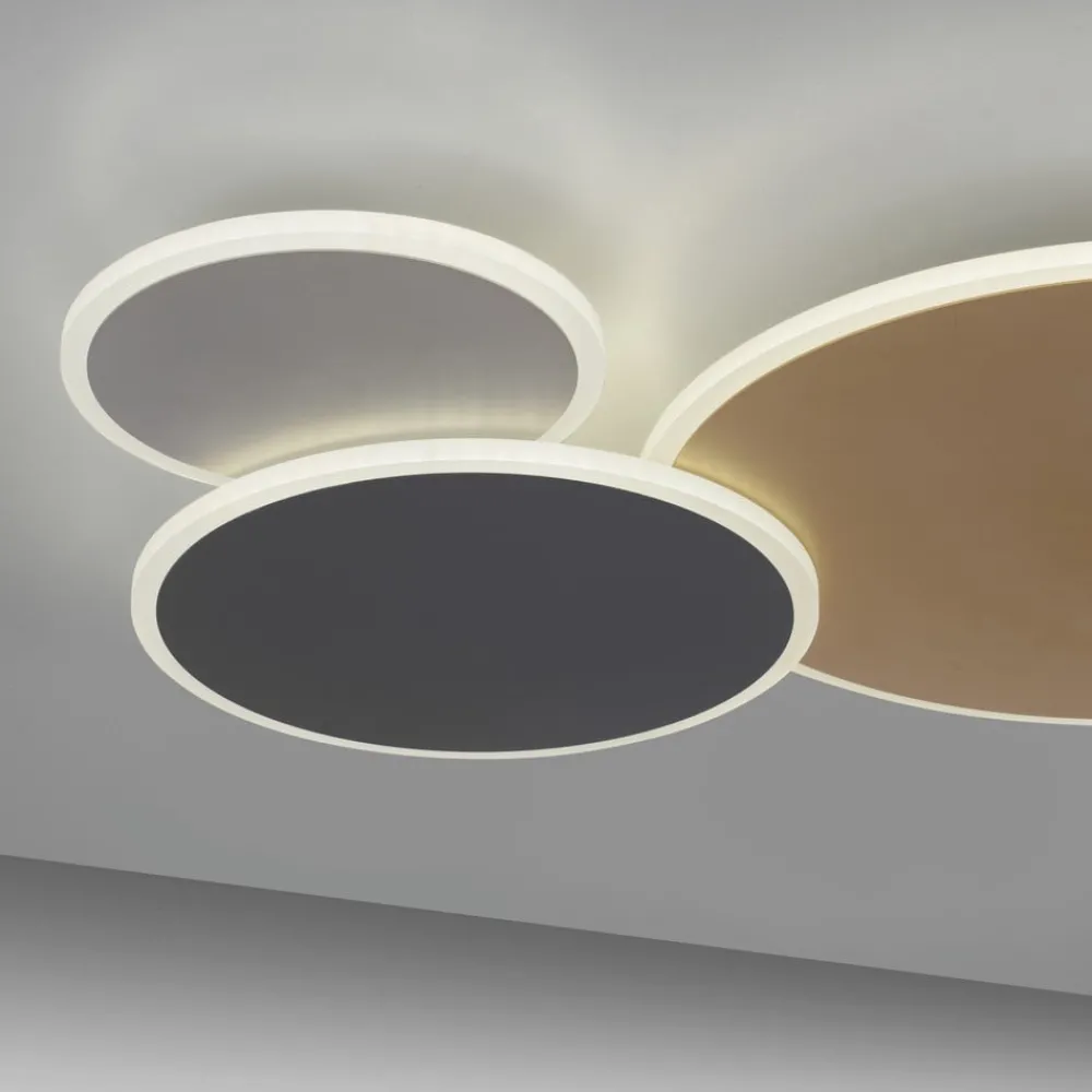 Q-Smart-Home Loftlamper|Loftlamper > Paul Neuhaus Q-Piato LED-loftlampe, 3 lyskilder