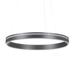 Q-Smart-Home Pendellamper > Paul Neuhaus Q-VITO LED-hengelampe 59 cm antracit