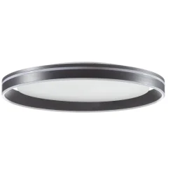 Q-Smart-Home Loftlamper > Paul Neuhaus Q-VITO LED-loftlampe 59 cm antracit
