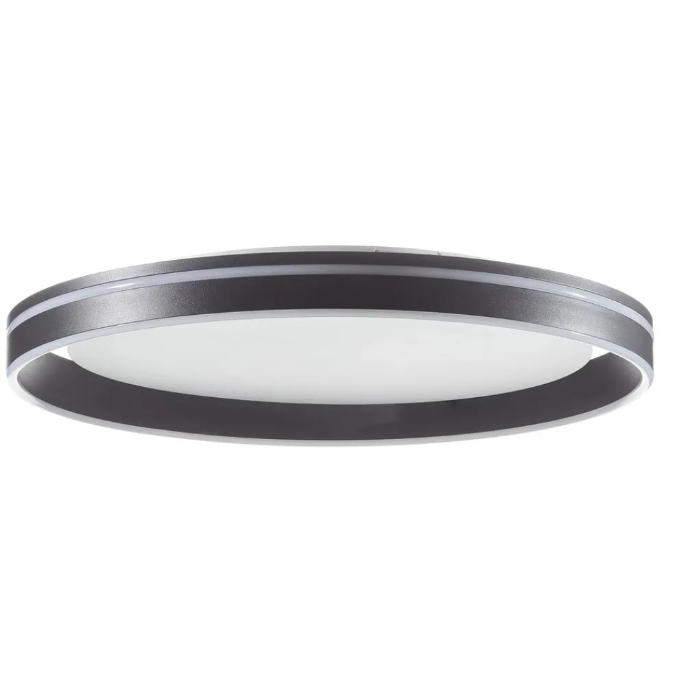 Q-Smart-Home Loftlamper > Paul Neuhaus Q-VITO LED-loftlampe 59 cm antracit