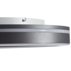 Q-Smart-Home Loftlamper > Paul Neuhaus Q-VITO LED-loftlampe 59 cm antracit