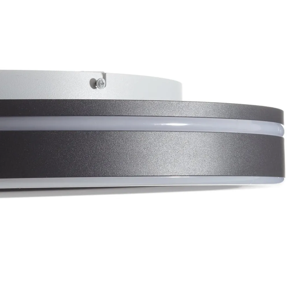 Q-Smart-Home Loftlamper > Paul Neuhaus Q-VITO LED-loftlampe 59 cm antracit