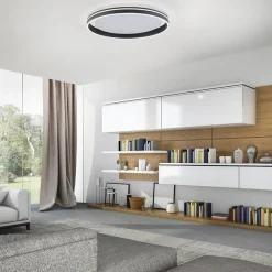 Q-Smart-Home Loftlamper > Paul Neuhaus Q-VITO LED-loftlampe 59 cm antracit