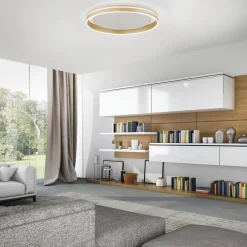 Q-Smart-Home Loftlamper|Loftlamper > Paul Neuhaus Q-VITO LED-loftslampe, Ø 60 cm