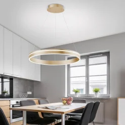 Q-Smart-Home Pendellamper > Paul Neuhaus Q-VITO LED-pendellampe, 1 ring