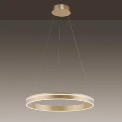 Q-Smart-Home Pendellamper > Paul Neuhaus Q-VITO LED-pendellampe, 1 ring