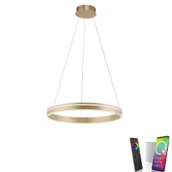 Q-Smart-Home Pendellamper > Paul Neuhaus Q-VITO LED-pendellampe, 1 ring