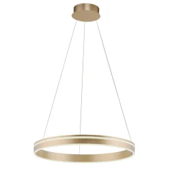 Q-Smart-Home Pendellamper > Paul Neuhaus Q-VITO LED-pendellampe, 1 ring
