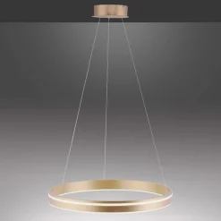 Q-Smart-Home Pendellamper > Paul Neuhaus Q-VITO LED-pendellampe, 1 ring