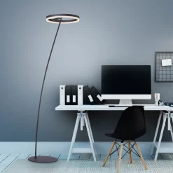 Paul Neuhaus Gulvlamper > Titus LED-gulvlampe antracit dæmper