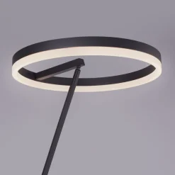 Paul Neuhaus Gulvlamper > Titus LED-gulvlampe antracit dæmper